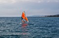 Minicat 310 Sport – daleki kadr, żeglowanie w stronę brzegu