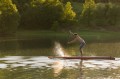 Deska SUP Race Elite 14.0 Aqua Marina 2025 - Deski SUP Race (wyścigowe) - Obraz nr29