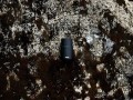 8734.20_8733.90_0.75l_0.5l_gemstone_foodjar_obsidian_1-lp__main_product_780x780_2-2.jpg
