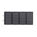 Panel-fotowoltaiczny-EcoFlow-220W-24479_1-outdoor.jpg