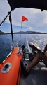 1732731913537.jpg