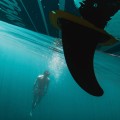 SUNCRUISE112-2.jpg