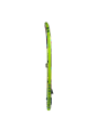 12515771-002.png