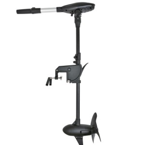 Silnik elektryczny zaburtowy Haswing Protruar 3.0G 24V 