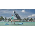 deska-sup-sic-maui-tao-wind-10-6- (1).jpg