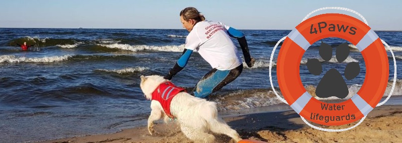 Ratownik z psem na plaży biegnie do wody